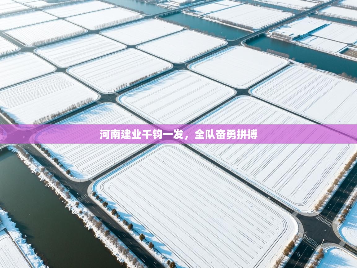 河南建业千钧一发，全队奋勇拼搏  第2张